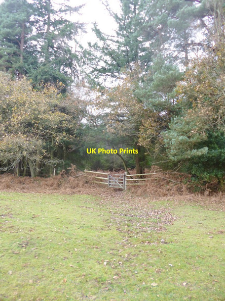 Photo 6"x4" Brook, gate Upper Canterton c2014