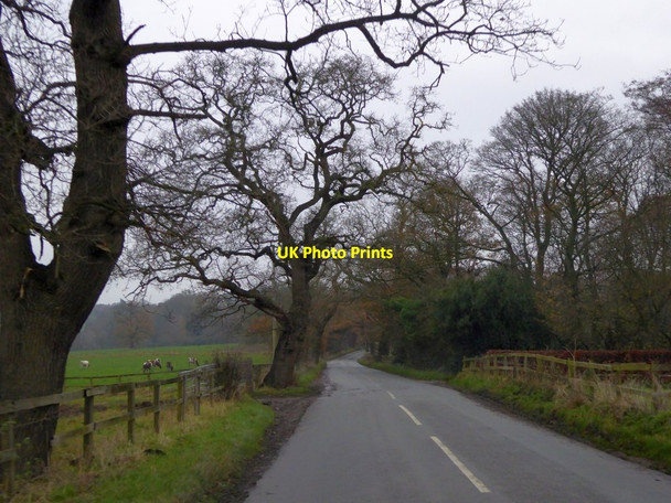 Photo 6"x4" Willington Lane Duddon Common c2014