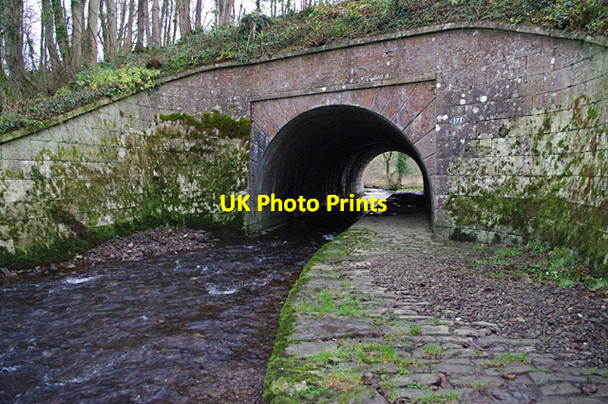 Photo 6"x4" Bridge 171, Lancaster Canal Stainton\/SD5285 c2014