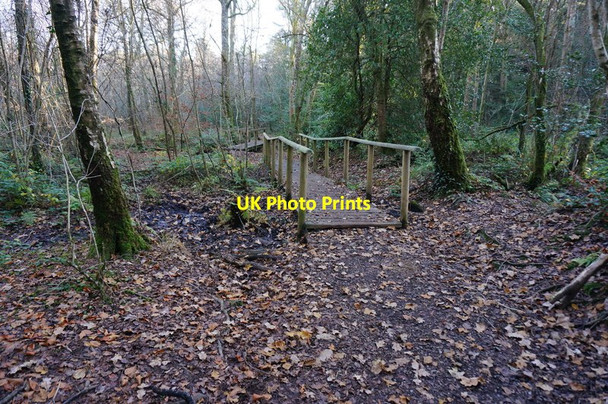 Photo 6"x4" Walkway on the Templer Way Coldeast c2014