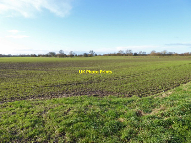 Photo 6"x4" Farmland up to the banks of the River Wharfe \/ River Ouse junction near Cawood Acaster Selby c2014