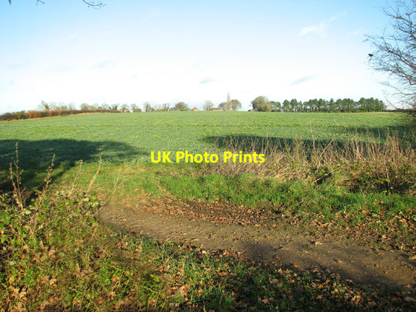 Photo 6"x4" Brassica crop field south of The Oaks Morton\/TG1217 c2014