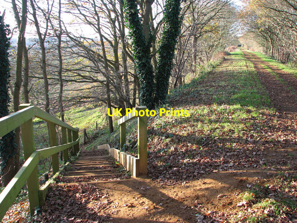 Photo 6"x4" Steps down railway embankment Morton\/TG1217 c2014