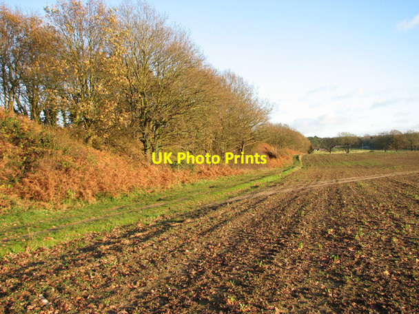 Photo 6"x4" Farm track skirting crop field Morton\/TG1217 c2014