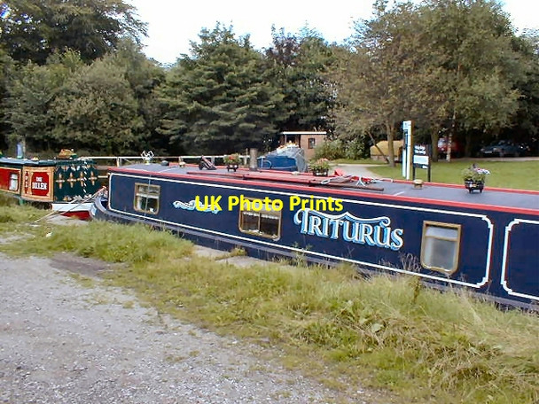 Photo 6"x4" Triturus at Whaley Bridge Whaley Bridge c1998
