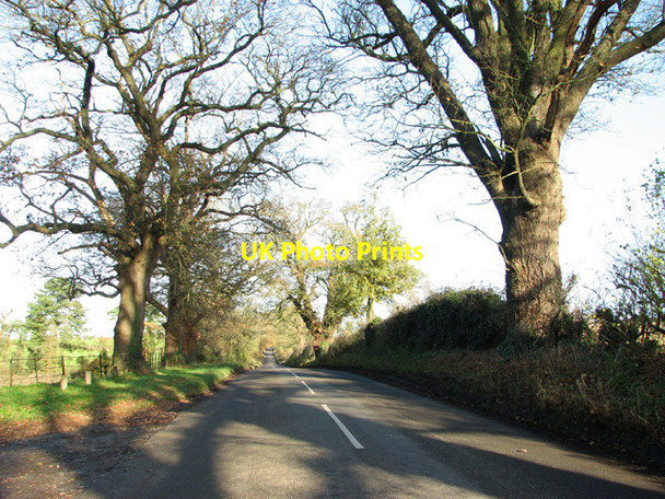 Photo 6"x4" View along Lyng Road Pockthorpe\/TG0718 c2014