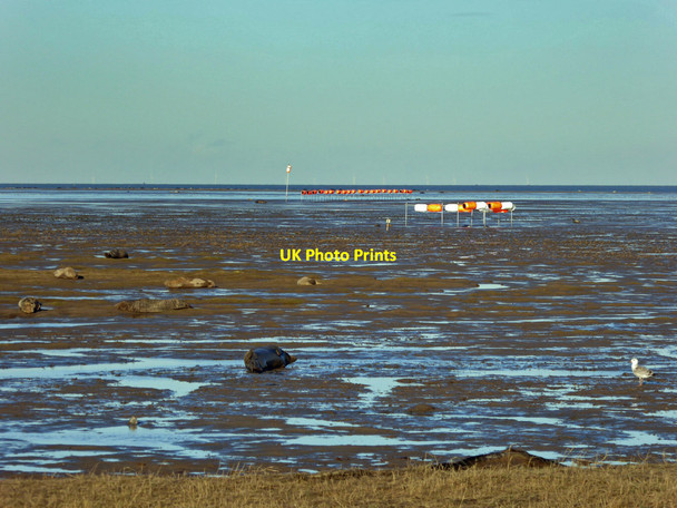 Photo 6"x4" RAF Donna Nook bombing targets and grey seals Donna Nook c2014