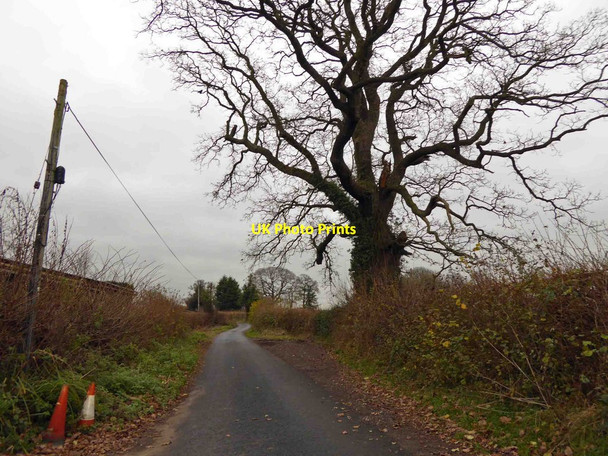 Photo 6"x4" Leaving the B4203 to The Oast House holiday cottage Bromyard Downs c2014