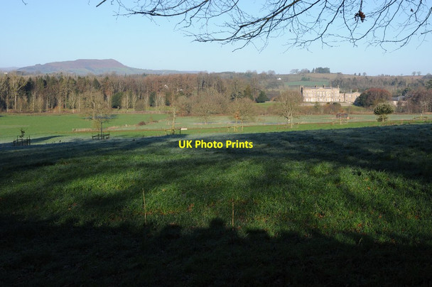 Photo 6"x4" View to Llanarth Court Great Oak c2014
