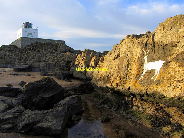Photo 6"x4" The Stag at Blackrocks Point Bamburgh c2014
