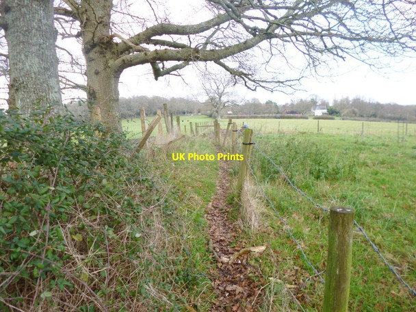 Photo 6"x4" Bramshaw, footpath Bramshaw c2014