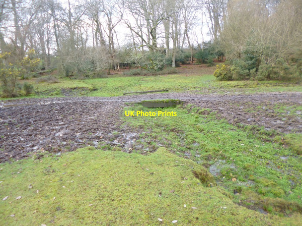 Photo 6"x4" Plaitford Common, bridge Canada\/SU2817 c2014