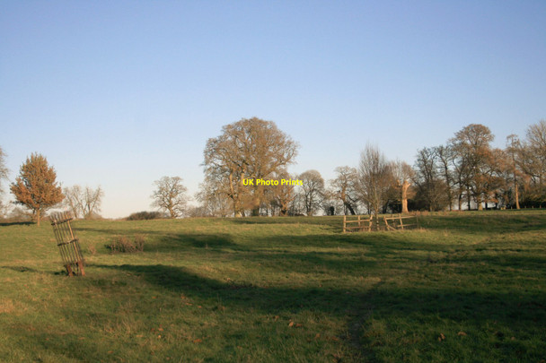 Photo 6"x4" Parkland at Chaddleworth House Chaddleworth c2014