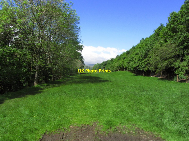 Photo 6"x4" Pasture, View W at Ivelet bridge, Swaledale Ivelet c2014