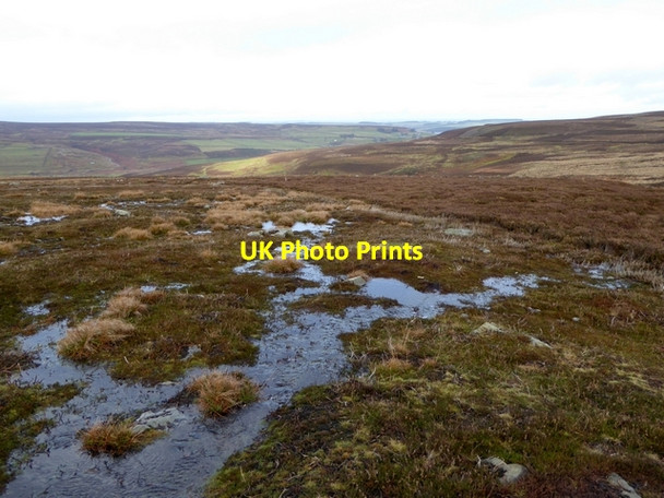Photo 6"x4" Wet moorland above Harehope Head Edmondbyers c2014