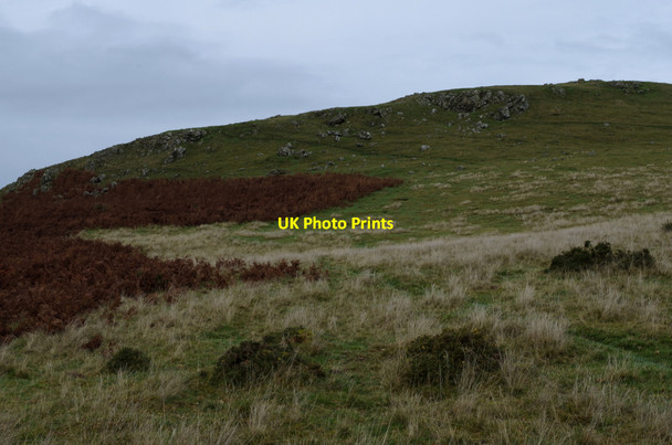 Photo 6"x4" Towards Llandegley Rocks from the south Llandegley c2014