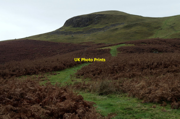 Photo 6"x4" Path below Llandegley Rocks Llandegley c2014