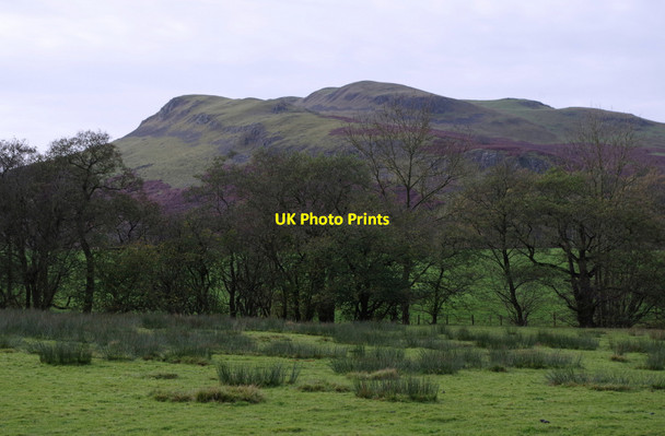 Photo 6"x4" Fields and view to Llandegley Rocks Llandegley c2014