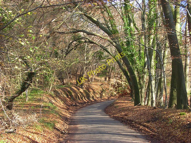 Photo 6"x4" Hatches Lane, Hughenden Hughenden Valley c2008