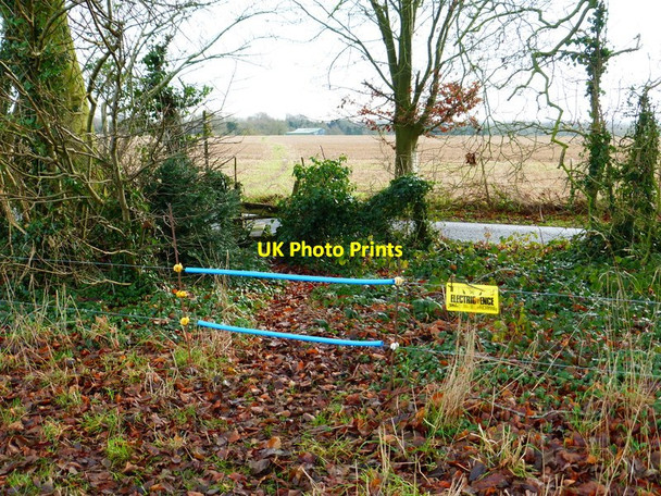 Photo 6"x4" Field path from New Road reaches unnamed road Brockbridge c2014