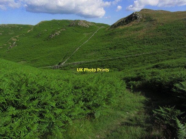 Photo 6"x4" Paths through bracken, Moss Crag (High Rigg) Dale Bottom\/NY2921 c2014