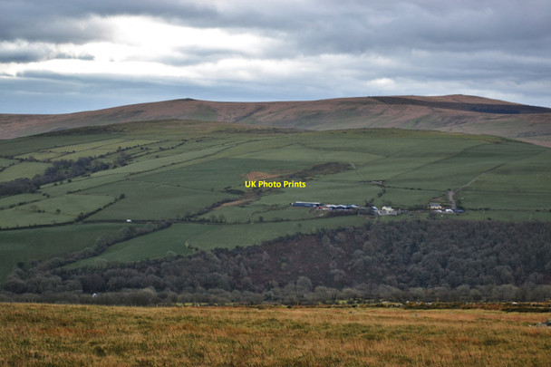 Photo 6"x4" View from Carn Ingli across the Gwaun to Pentrisil Farm and Outbuildings Pentrisil c2014
