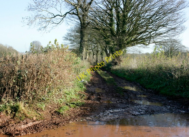Photo 6"x4" 2008 : Muddy track near Stratton-on-the-Fosse Lipyeate c2008