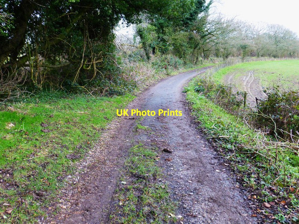 Photo 6"x4" Having braved the mud I joyfully meet tarmac Chidden c2014
