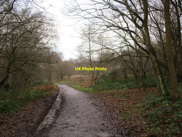 Photo 6"x4" Lakeside path Carburton c2014