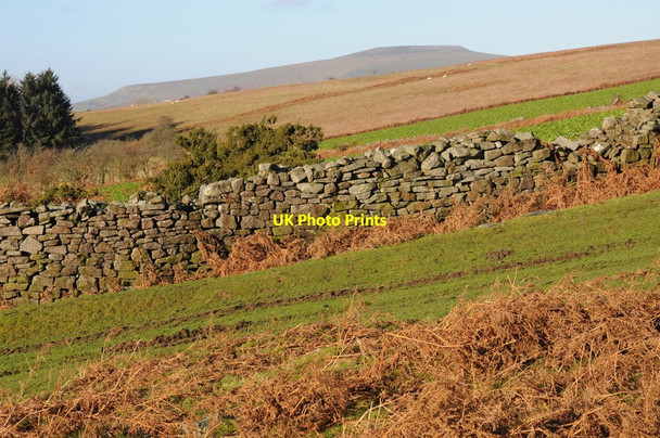 Photo 6"x4" Drystone wall on Sugar Loaf Llangenny c2014