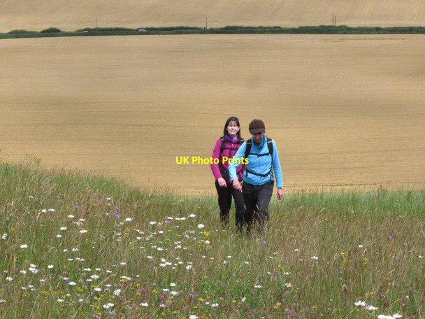 Photo 6"x4" Walking the path passing Chiselbury near Fovant Compton Chamberlayne c2014