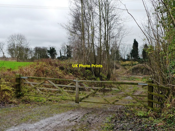 Photo 6"x4" Entrance to a disused quarry, Castle Hill Stapleton\/SE5119 c2014
