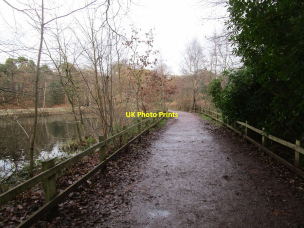 Photo 6"x4" Causeway across Clumber Lake (2) Hardwick Village c2014