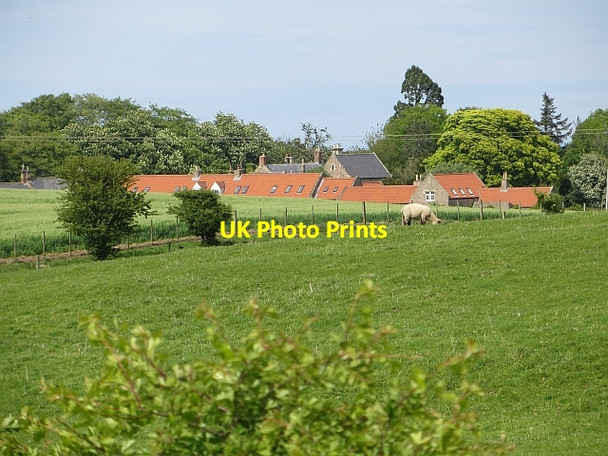 Photo 6"x4" Fields, Ellingham Ellingham\/NU1725 c2014