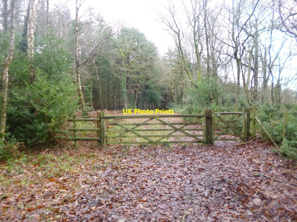 Photo 6"x4" The Grove, gates Stoney Cross c2014