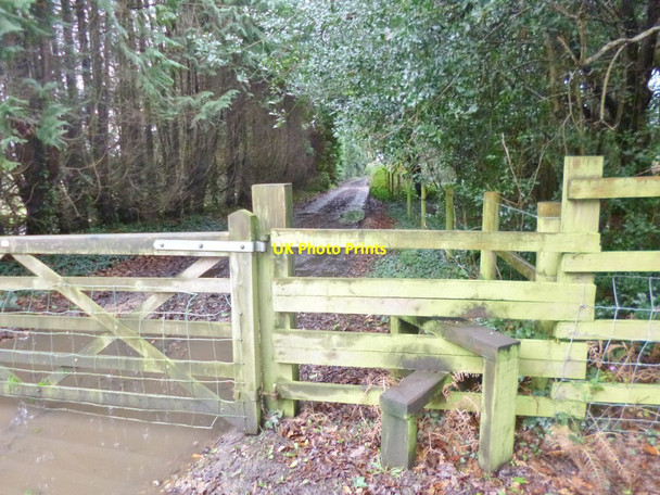 Photo 6"x4" Stoney Cross, stile & gate Stoney Cross c2014