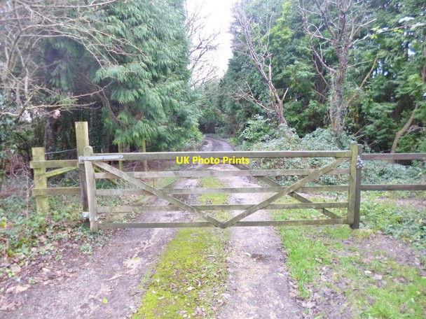 Photo 6"x4" Stoney Cross, gate Stoney Cross c2014