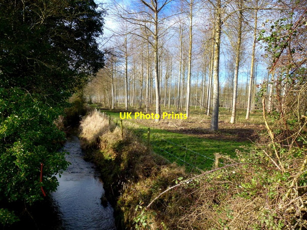 Photo 6"x4" Drain by Yarkhill plantation Monkhide c2014