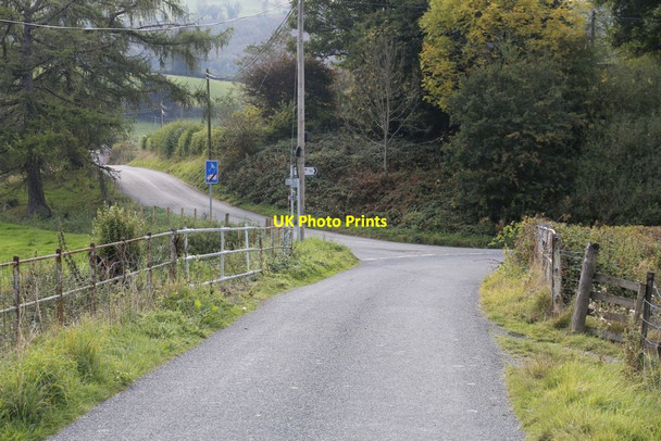 Photo 6"x4" Fork in the Road Cregrina c2014