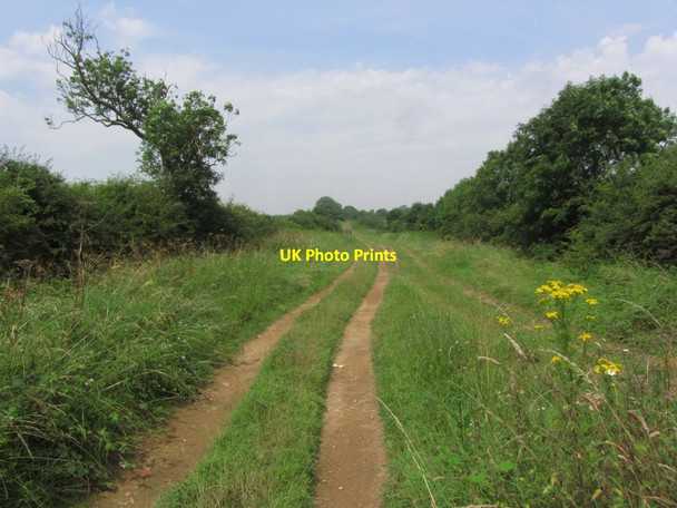 Photo 6"x4" Viking Way along The Drift WNW of Skillington Saltby c2014