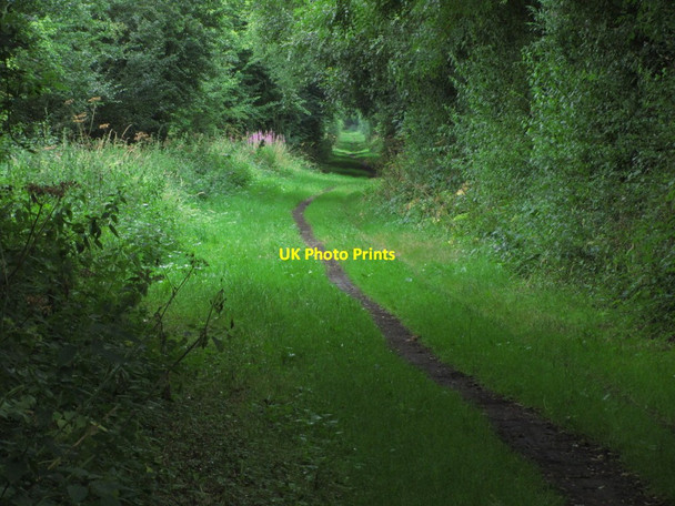 Photo 6"x4" Former railway line, now path S of Stenwith, Lincs Stenwith c2014