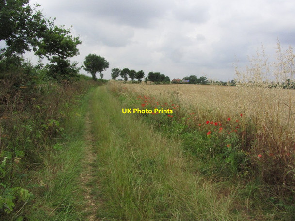Photo 6"x4" The Viking Way E of Belle Vue Farm, Carlton Scroop Hough-on-the-Hill c2014