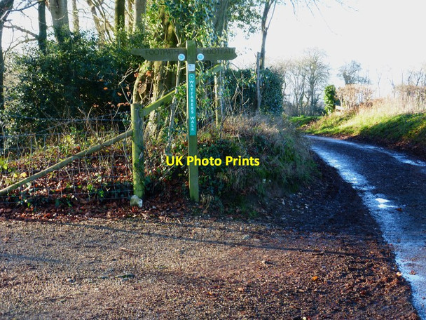 Photo 6"x4" The Wayfarer's Walk crosses unnamed lane Hambledon\/SU6414 c2014