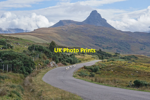 Photo 6"x4" View along the road towards Stac Pollaidh Badnagyle c2014