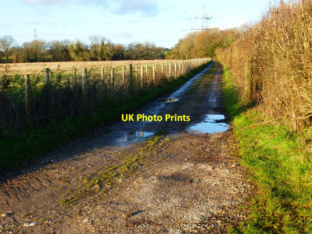 Photo 6"x4" Looking north on farm track near Broadway Farm Eastland Gate c2014