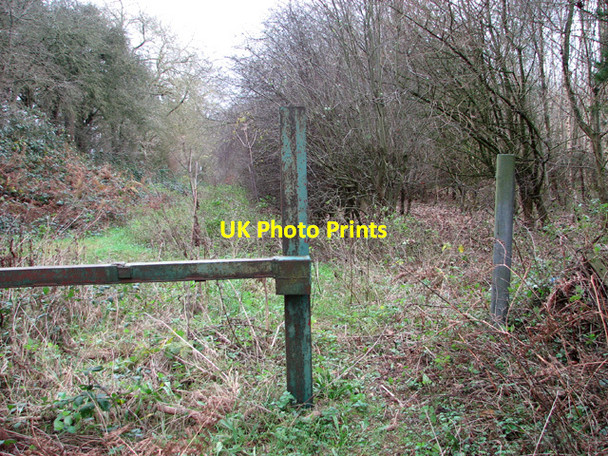 Photo 6"x4" Gate at Washpit Drove Swaffham c2014