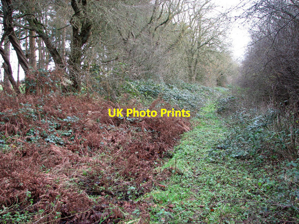 Photo 6"x4" To Sporle Road on Washpit Drove Swaffham c2014