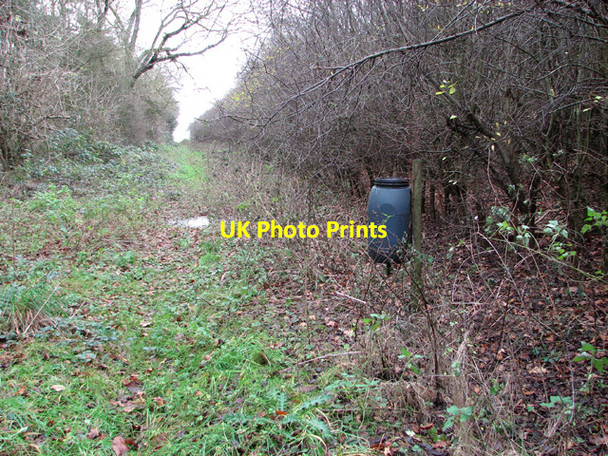 Photo 6"x4" Pheasant feeder beside Washpit Drove Swaffham c2014
