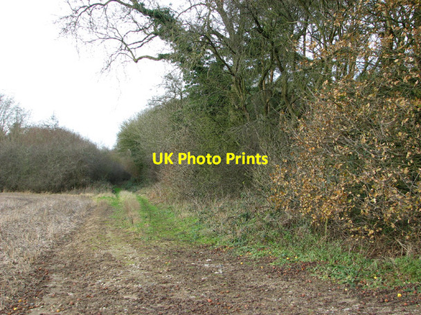 Photo 6"x4" View west along Washpit Drove Swaffham c2014