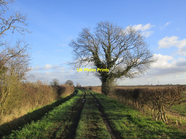 Photo 6"x4" Salins Lane Rampton\/SK7978 c2014